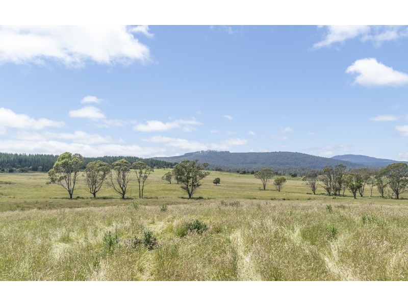 942 Old Waterhouse Road, North Scottsdale TAS 7260