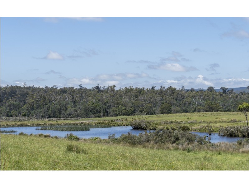 942 Old Waterhouse Road, North Scottsdale TAS 7260