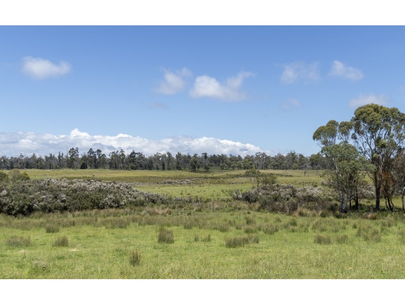 942 Old Waterhouse Road, North Scottsdale TAS 7260