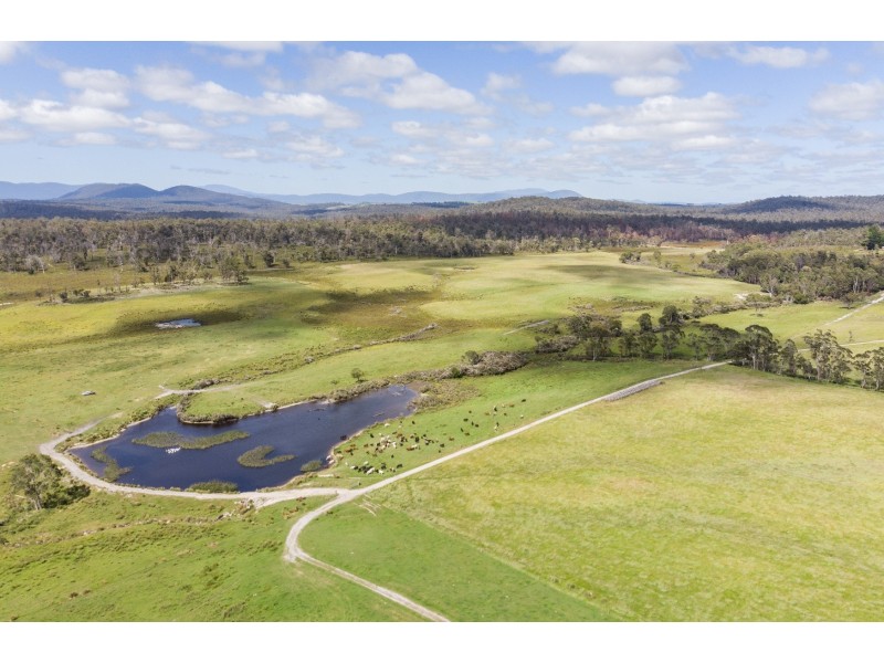 942 Old Waterhouse Road, North Scottsdale TAS 7260