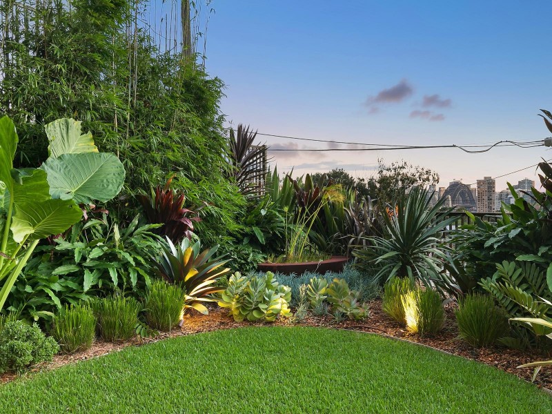 101/1 Premier Street, Neutral Bay NSW 2089