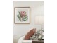1.01/1 The Boulevarde, Cammeray NSW 2062