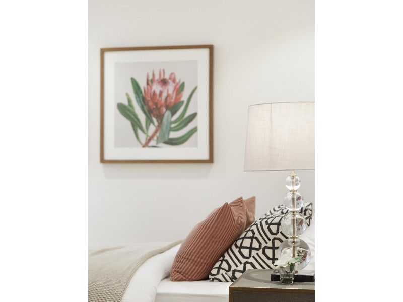 1.01/1 The Boulevarde, Cammeray NSW 2062