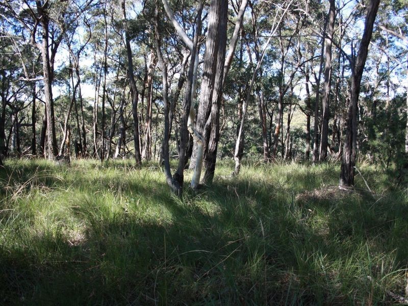 942 Mt Vincent Road, Ilford NSW 2850