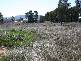 Lot 6 Mudgee Valley Business Park, Aarons Pass NSW 2850