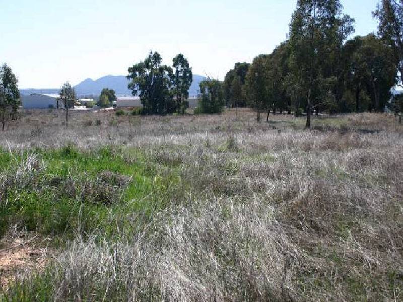 Lot 6 Mudgee Valley Business Park, Aarons Pass NSW 2850
