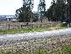 Lot 11 Mudgee Valley Business Park, Aarons Pass NSW 2850
