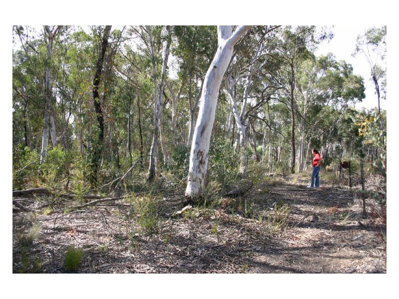 24 Farrelly Street, Clandulla NSW 2848