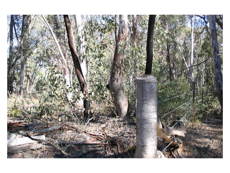 24 Farrelly Street, Clandulla NSW 2848