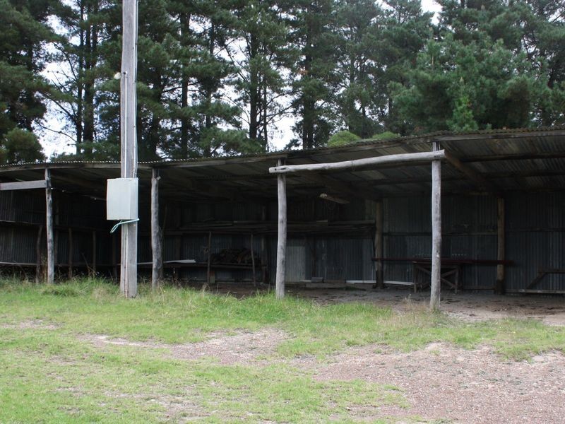 119 Camerons Road, Running Stream NSW 2850