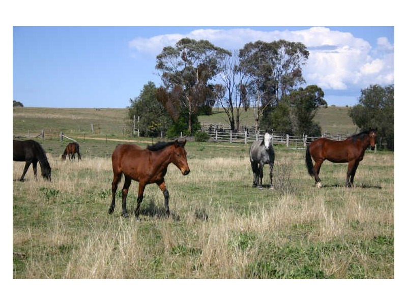 2540 Glen Alice Road, Rylstone NSW 2849