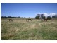 2540 Glen Alice Road, Rylstone NSW 2849