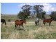 2540 Glen Alice Road, Rylstone NSW 2849