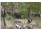 570 Bylong Valley Way, Clandulla NSW 2848