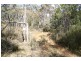 Lot 144 Coxs Creek Road, Rylstone NSW 2849