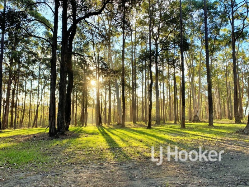 44 Hayward Road, Wandandian NSW 2540