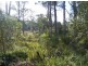 Lot 1324 The Park Drive, Sanctuary Point NSW 2540