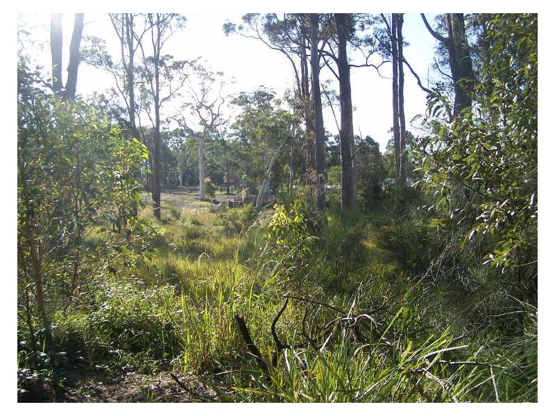 Lot 1324 The Park Drive, Sanctuary Point NSW 2540