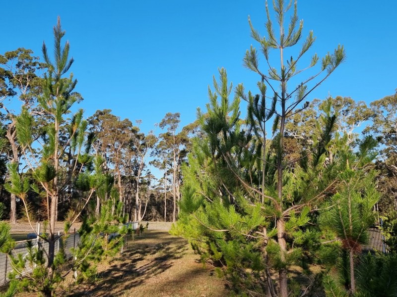 Lot 20 Wandra Road, Sussex Inlet NSW 2540