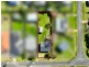 43 Ridgelands Drive, Sanctuary Point NSW 2540