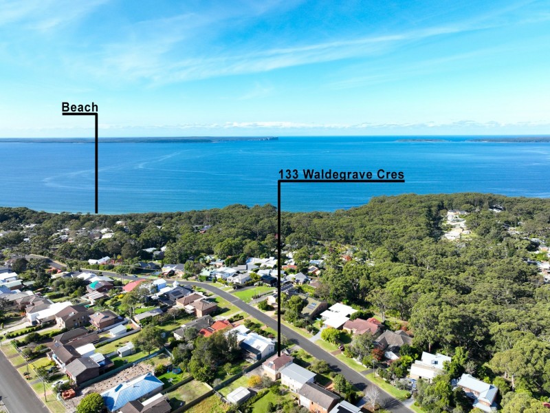 133 Waldegrave Crescent, Vincentia NSW 2540