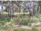 28 Frederick St, Sanctuary Point NSW 2540