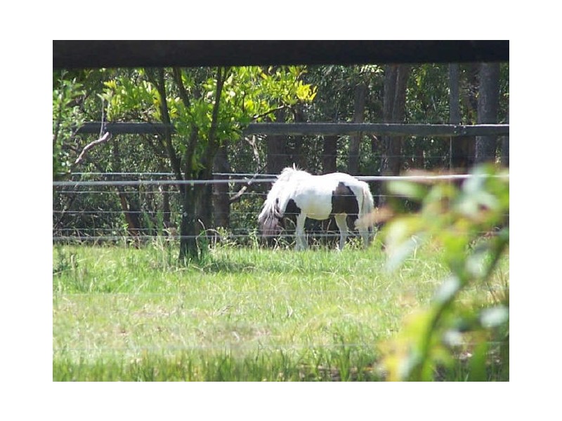 210 Island Pt Rd, St Georges Basin NSW 2540