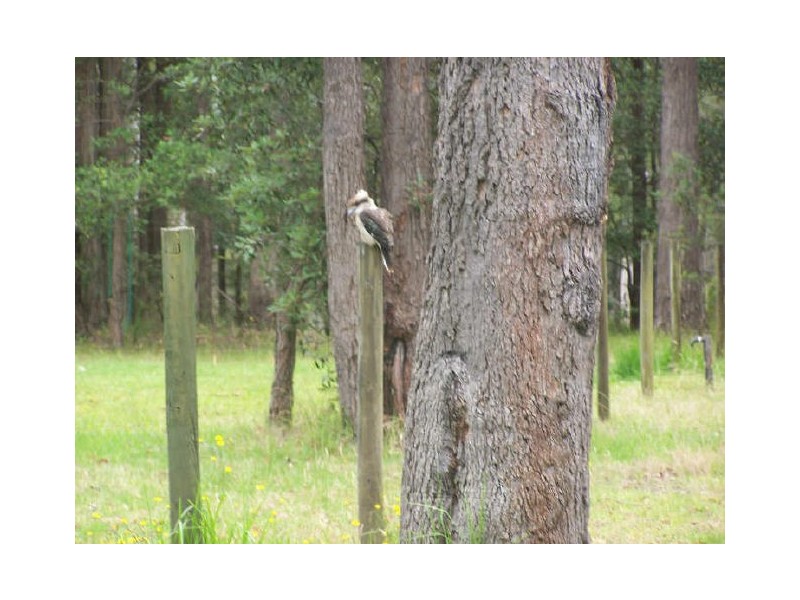 210 Island Pt Rd, St Georges Basin NSW 2540