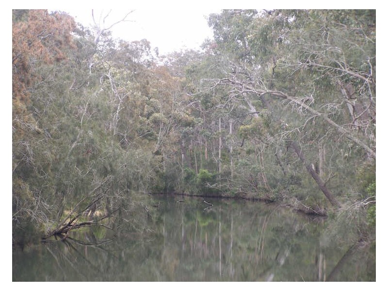 295 The Park Dr, Sanctuary Point NSW 2540