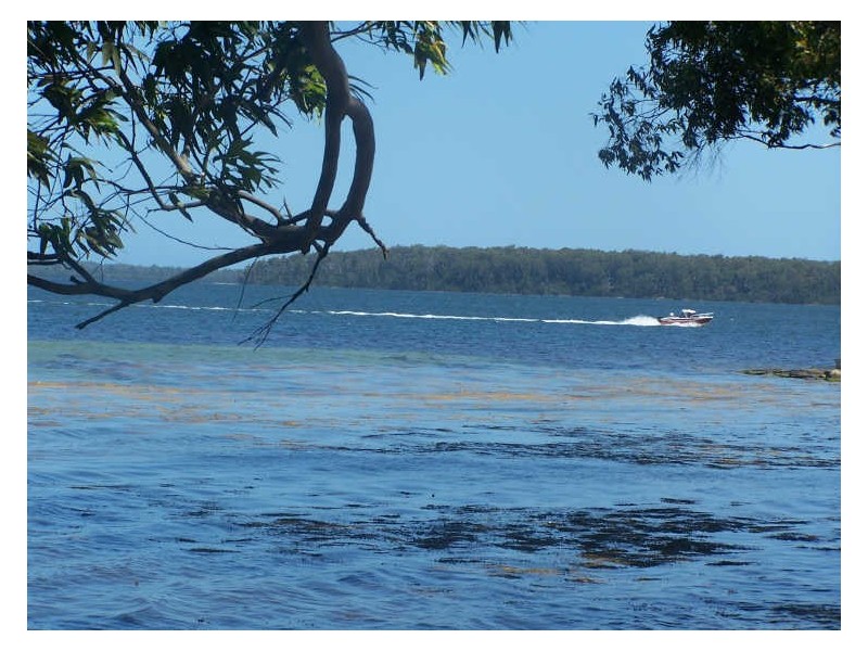 14 Island Point Road, St Georges Basin NSW 2540