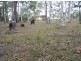 Sanctuary Point NSW 2540
