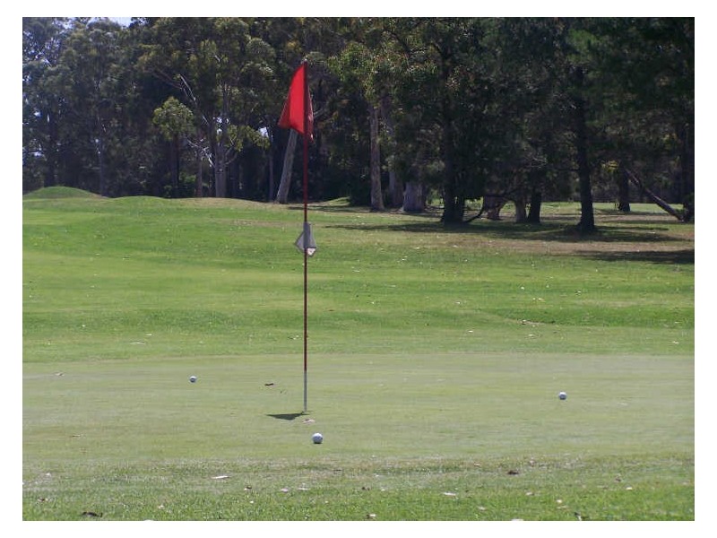 114 Fairway Dr, Sanctuary Point NSW 2540