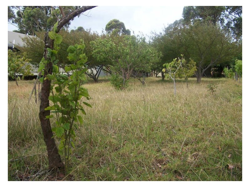 58 Idlewild Avenue, Sanctuary Point NSW 2540