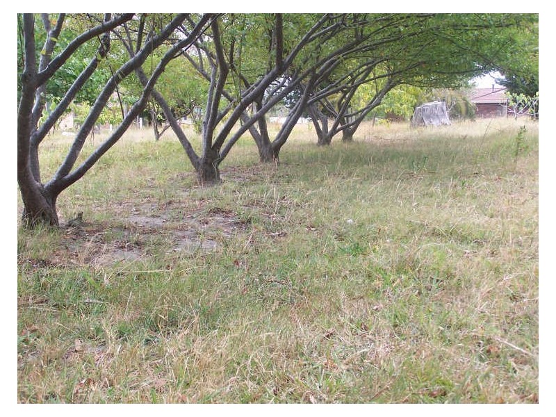 58 Idlewild Avenue, Sanctuary Point NSW 2540