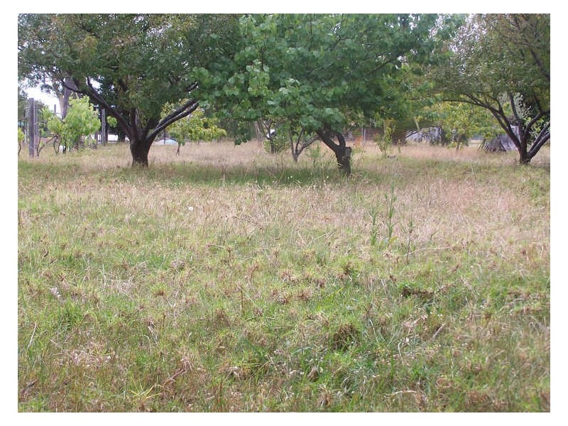 58 Idlewild Avenue, Sanctuary Point NSW 2540