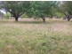 56 Idlewild Avenue, Sanctuary Point NSW 2540