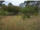 56 Idlewild Avenue, Sanctuary Point NSW 2540