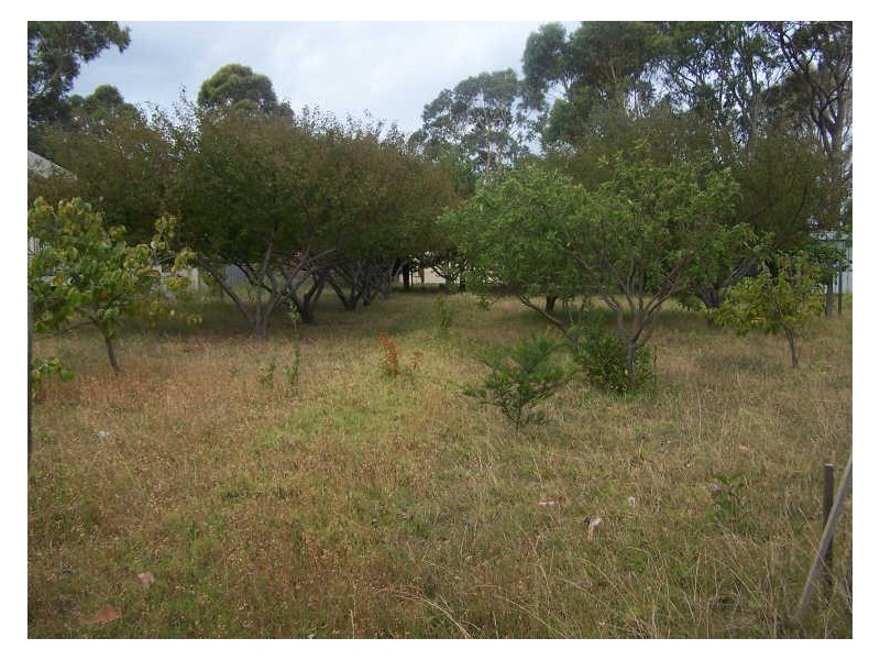 56 Idlewild Avenue, Sanctuary Point NSW 2540