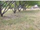 56 Idlewild Avenue, Sanctuary Point NSW 2540