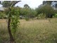 56 Idlewild Avenue, Sanctuary Point NSW 2540