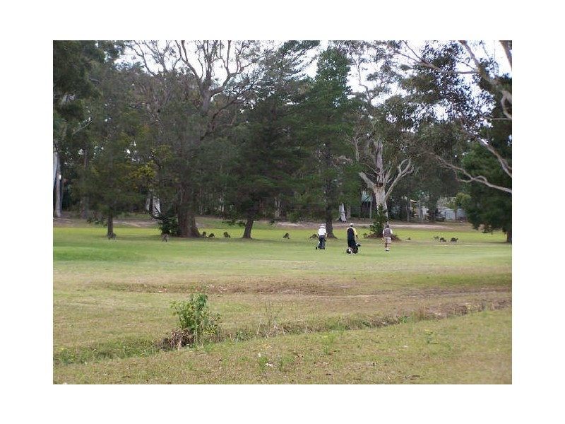 Sanctuary Point NSW 2540