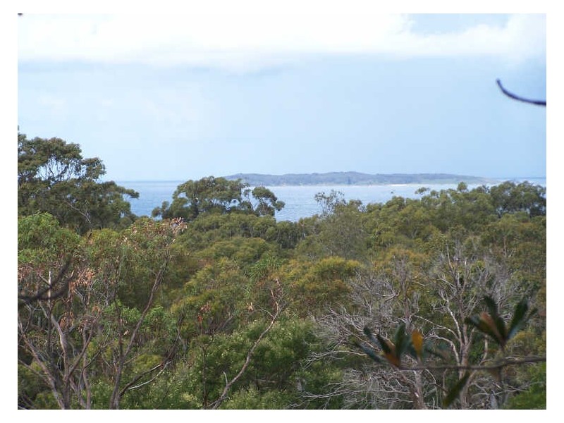 79 Frederick St, Vincentia NSW 2540