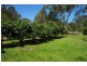 40 Jervis Bay Road, Falls Creek NSW 2540