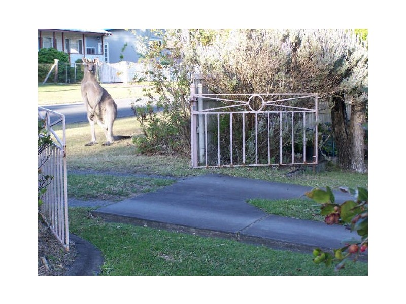 36 John St, Basin View NSW 2540