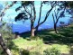 170 Greville Ave, Sanctuary Point NSW 2540