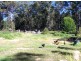 315C Island Point Rd, St Georges Basin NSW 2540