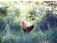 315C Island Point Rd, St Georges Basin NSW 2540