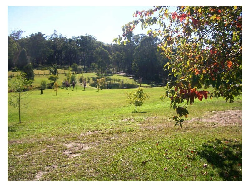 38 Hayward Road, Wandandian NSW 2540