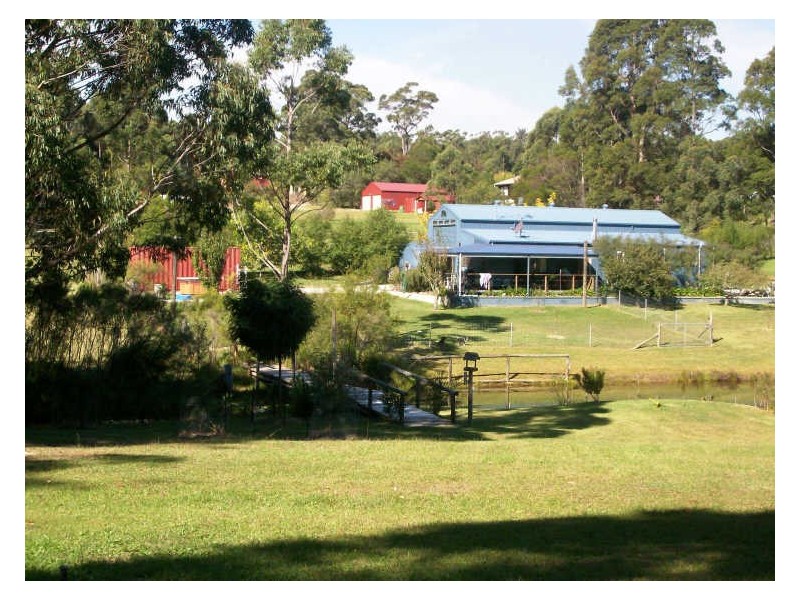 38 Hayward Road, Wandandian NSW 2540