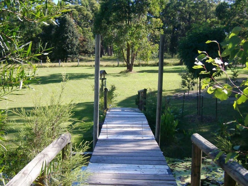 38 Hayward Road, Wandandian NSW 2540